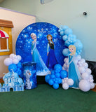 Frozen Package