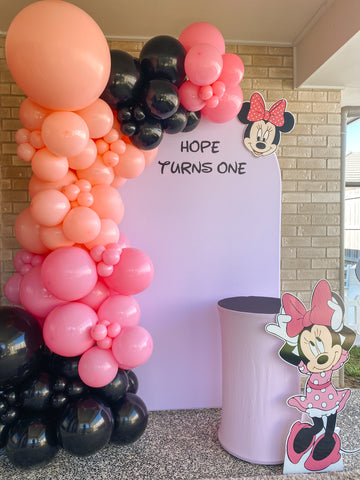 Minnie Mouse Package